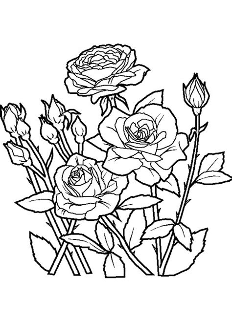 Dibujos de rosas para colorear, pintar e imprimir