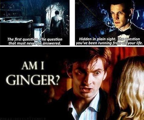 Am I Ginger Doctor Who Doctor Wibbly Wobbly Timey Wimey Stuff