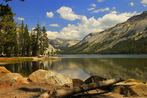 Tenaya Lake Yosemite National Park California Photograph By Steve