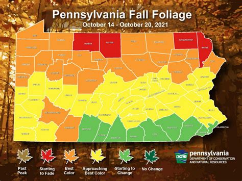 Fall Foliage Will Be On Display Soon Experts Say News