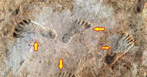 Fossil Footprints Reveal Humans Inhabited North America Over
