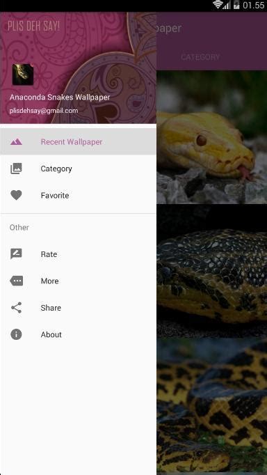 Anaconda Snake Wallpaper Download Anaconda Gallery