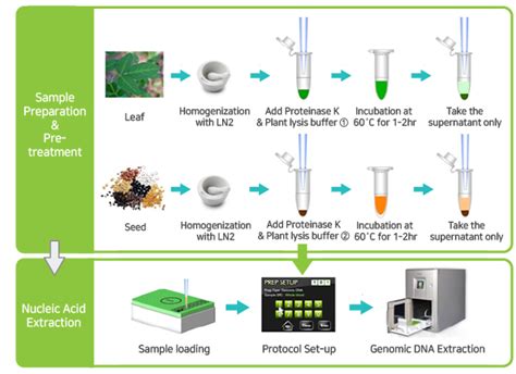 Exiprep™ Plus Plant Genomic Dna Kit 96 Reactions