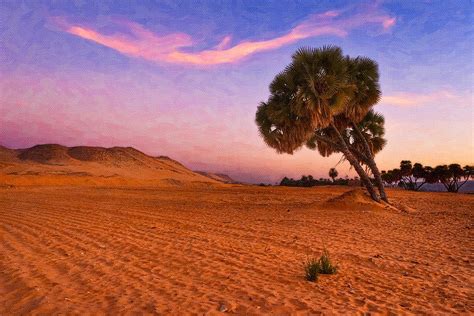 Mystical Morning On The Egyptian Sahara Photograph By Mark Tisdale