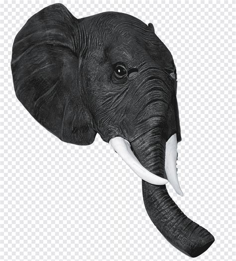 تنزيل مجاني الفيل الهندي الفيل الفيل قناع الفيل زي ، قناع حيوان ثديي