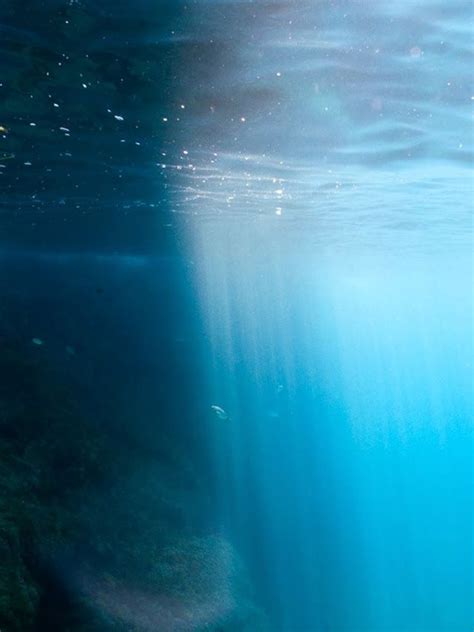 Sunlight Filtering Through Cerulean Waters Underwater Photo Sea And