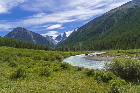 The Valley Of The Shavla River Altai Mountains Russia Stock Image