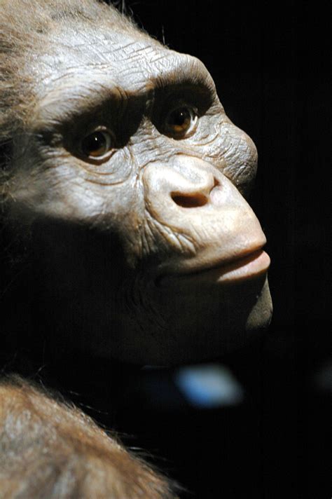 Print On Envelopes At Home - how to print on envelopes at home mac