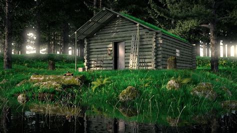 In 1975, he won the pulitzer prize for distinguished criticism. Pin by Roger Larsen on Cabins | Cabins in the woods, Cabin ...