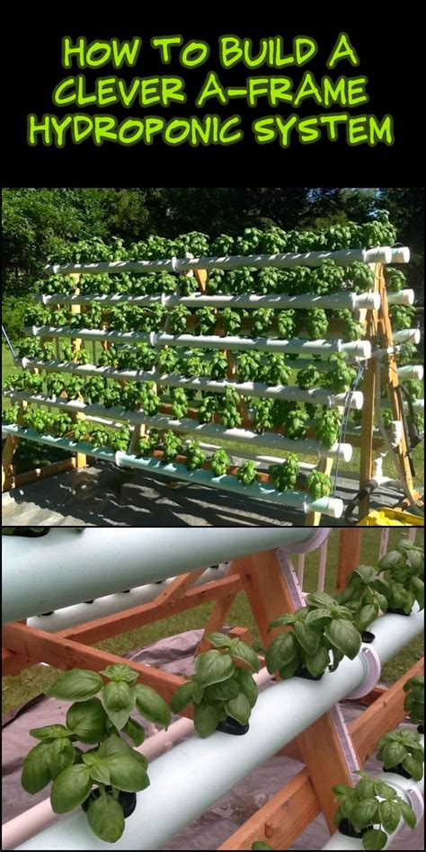 Build An Efficient A Frame Hydroponic System Your Projectsobn
