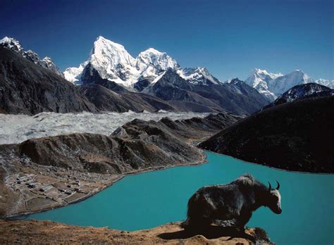 Travellers Nepal Everest Base Camp Gokya Lake Nepal