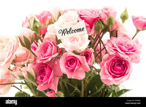 Welcome Card With Bouquet Of Pink Roses Stock Photo Alamy