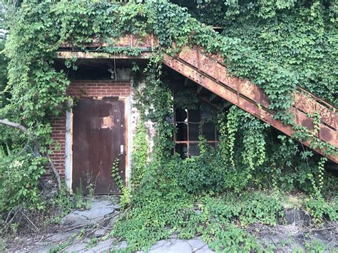 Poison oak (toxicodendron diversilobum) is found mainly in the western regions of california growing from sea level to the mountains. Reclaimed by poison in South Carolina. OC : AbandonedPorn