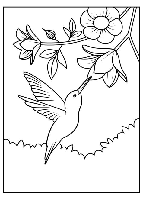 Colibrí Con Flor Para Colorear Imprimir E Dibujar Coloringonlycom