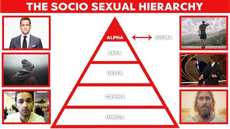 Alpha Vs Beta Vs Delta Vs Gamma Vs Omega Vs Sigma The Socio Sexual Hierarchy Explained Youtube