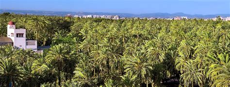 Elche son dakikada bir penaltı kaçırdı. Excursion to Elche