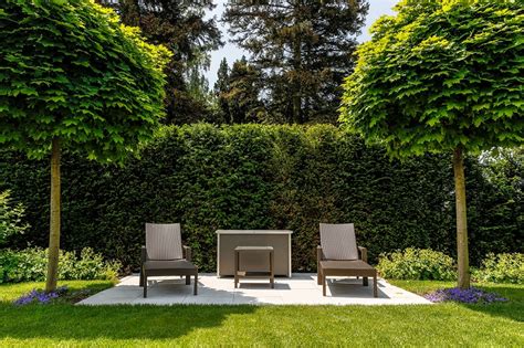 Schöne bäume für den garten. Schnell wachsende Bäume: Gartentipps von Meister & Meister