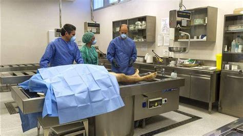 Examen Externo Del Cadaver En La Necropsia Autopsia Parte Ii Lesiones