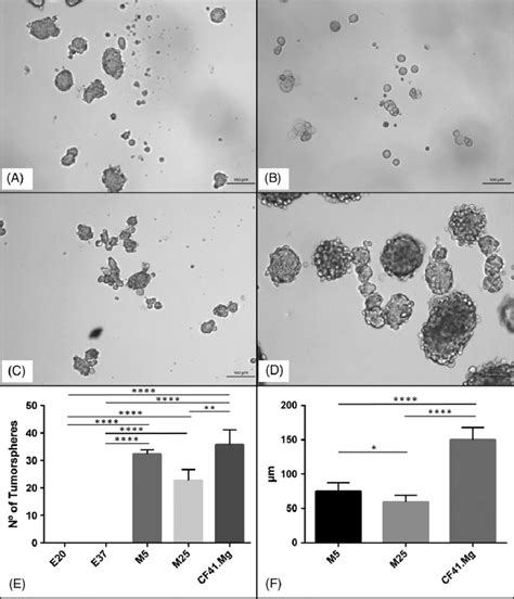 Tumorsphere Formation Potential Of Canine Mammary Cancer Cell Lines