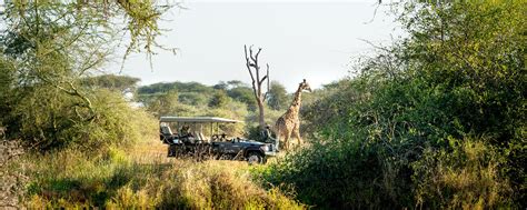 10 Best Luxury Kruger National Park Safaris Go2africa