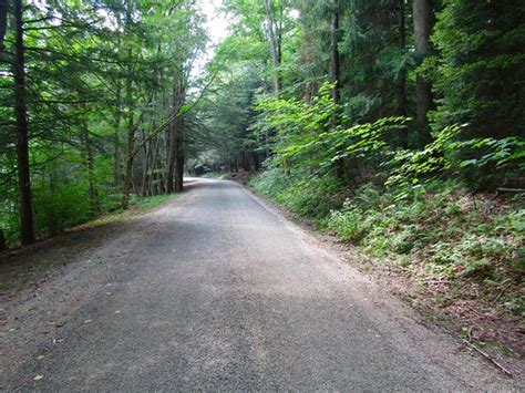 Built new roads, fireplaces, cabins and a lake. Kooser State park (Somerset) - All You Need to Know Before ...