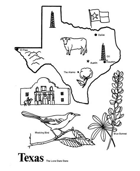 Pin By Hollie Taylor On Cm Pen Pal Ideas Texas Symbols State Symbols