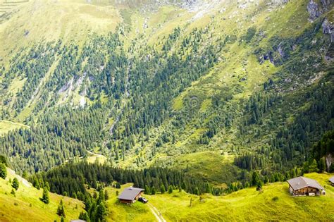 Mountain And Forest Landscape In Tirol Austria Region Of Hintertux