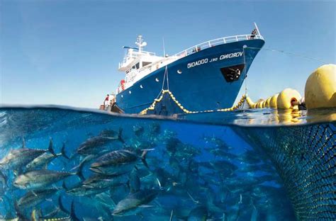 We did not find results for: Pengoperasian Alat Tangkap Purse Seine