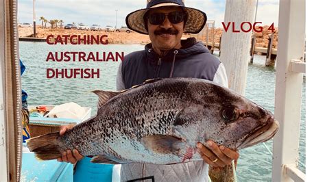 My Fishing Adventures Catching Australian Dhufish Youtube