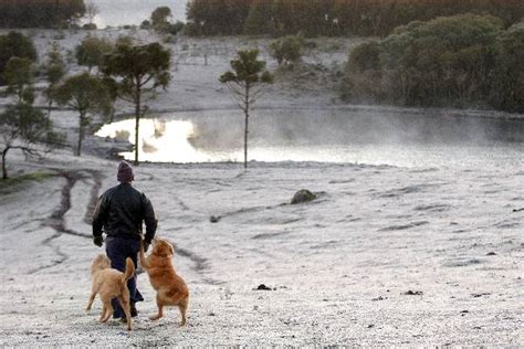 O rio grande do sul deve ter, na safra deste ano, a maior produção das culturas de inverno da sua história, chegando a 3,7 milhões de toneladas de trigo, cevada, canola e aveia branca. mundo virtual: Seleção de imagens da geada e neve no Rio ...