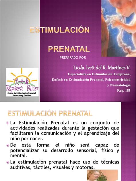 Estimulacion Prenatal Pdf Pdf Cerebro Neurona
