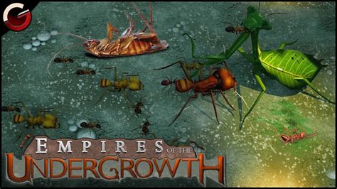 Bug Fighting Battle Arena Most Epic Insect Fight Scenes Empires Of