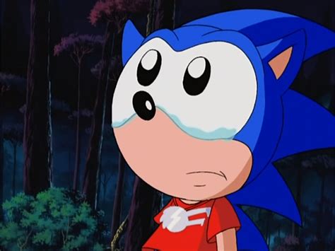 Image Sonic Crying Sonic News Network The Sonic Wiki