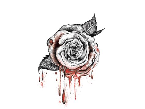Bleeding Rose Pen And Ink Drawing By Jen Borror Hoot Design Studio On