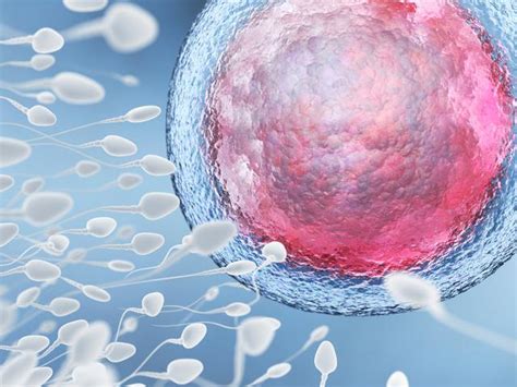7 Pertanyaan Seputar Sperma Yang Sering Membuat Wanita Bingung Health Liputan6 Com