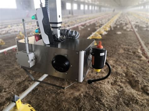 How Robots Can Improve Efficiency In Poultry Production Wattpoultry