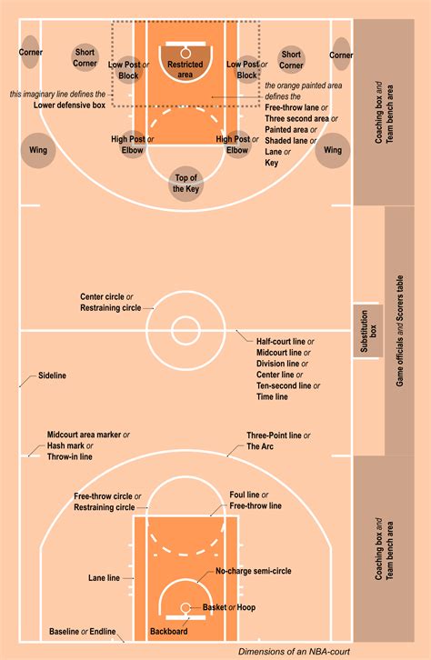 Basketball Court Dimensions Guide Australia Fiba And Nba