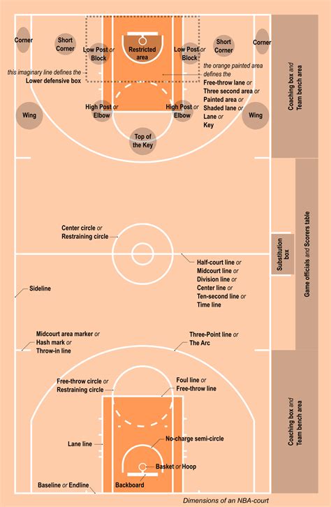 Basketball Court Dimensions Guide Australia Fiba And Nba Measurements