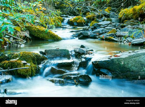 River Flowing Through Stony Bottom Beautiful Waterfall Landscape The
