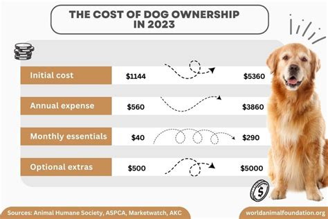 Investigating How Much Does It Cost To Own A Dog In 2024