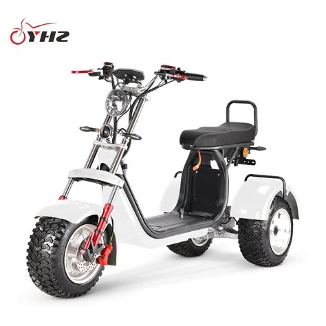 Eu In Stock Swing Tricycle Off Road Citycoco Scooter W Wheel Eec