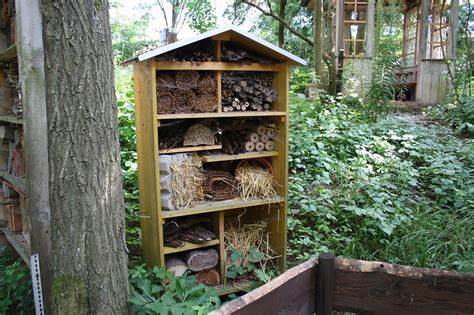 Ausreichend hoher platz der ideale standort eines insektenhotels muss nicht zwingend weit weg vom menschen sein. Standort des Insektenhotels | Garten Wissen