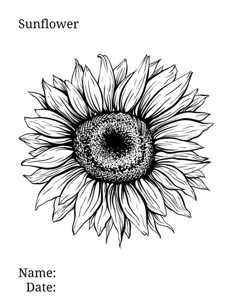 Sunflower Coloring Page 🌻 🎨 Brighten Your Day With Floral Fun