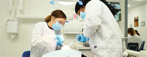 Dental assistants typically need an associate's degree or a certificate from a dental assistant program. What Does a Dental Assistant Do? - Midwest Technical Institute