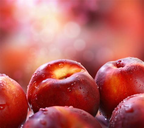 Does anything beat picking a peach fresh off the tree ? Peaches and Nectarines: the sugary taste of the sun ...