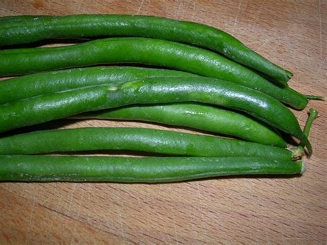 We did not find results for: Blue Lake Pole Bean Seeds