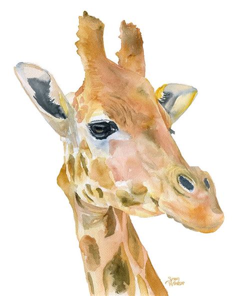 96 Best Paint Giraffes Zebras Hippos Images On