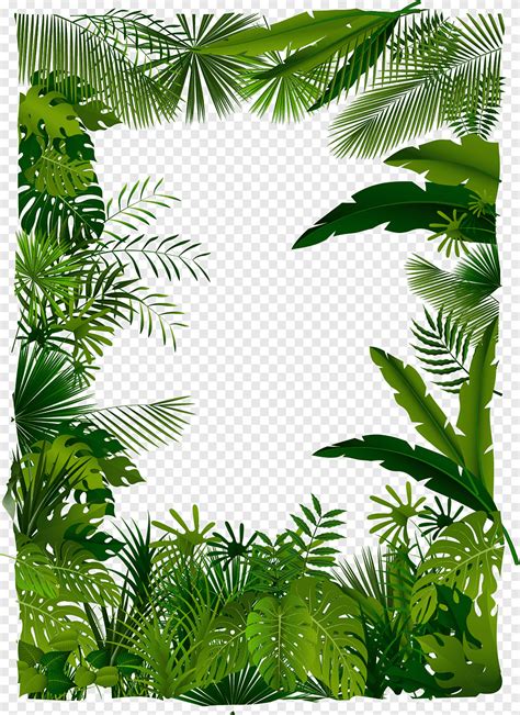 Tropical Forest Euclidean Tree Illustration Trees Illustration Of A