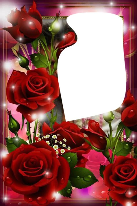Check spelling or type a new query. Montage photo marco de rosas rojas con foto - Pixiz