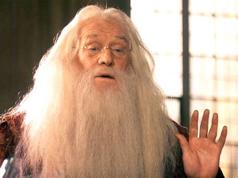 Richard Harris The Only Dumbledore The Sorcerers Stone Harry